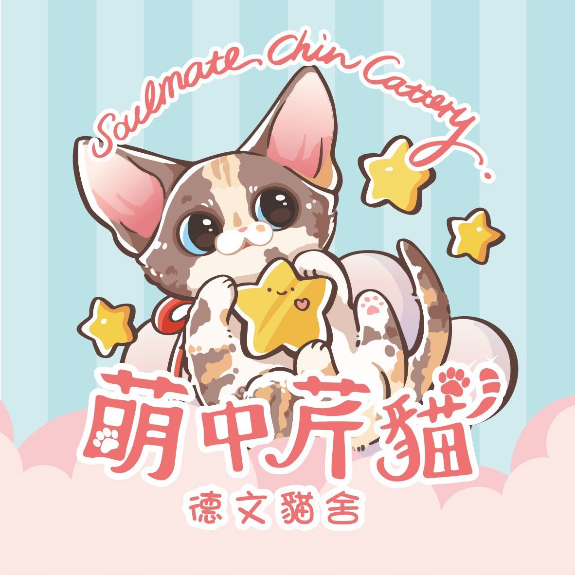 萌中芹貓品牌插圖